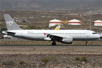 Alfonso Sols - Asociacin Canary Islands Spotting. Haz click para ampliar