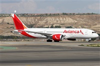 Alfonso Sols - Asociacin Canary Islands Spotting. Haz click para ampliar