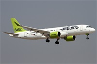 ©Alfonso Solís - Asociación Canary Islands Spotting. Click to see full size photo ©Alfonso Solís - Asociación Canary Islands Spotting. Click to see full size photo