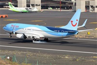 Miguel A. gueda Rguez.  (CANARY ISLANDS SPOTTING). Click to see full size photo
