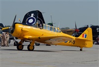 Rod Dermo. Click to see full size photo