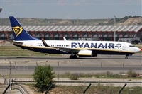 Alfonso Sols - Asociacin Canary Islands Spotting. Click to see full size photo