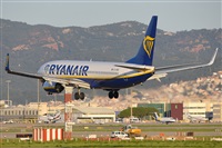 Miguel A. gueda Rguez.  (CANARY ISLANDS SPOTTING). Click to see full size photo