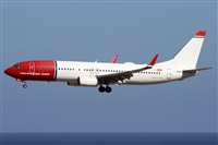 Alfonso Sols - Asociacin Canary Islands Spotting. Haz click para ampliar