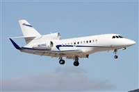 ©Alfonso Solís - Asociación Canary Islands Spotting. Click to see full size photo ©Alfonso Solís - Asociación Canary Islands Spotting. Click to see full size photo