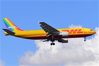 Miguel A. gueda Rguez.  (CANARY ISLANDS SPOTTING). Click to see full size photo