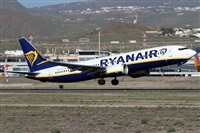 Alfonso Sols - Asociacin Canary Islands Spotting. Click to see full size photo