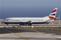 ©Alfonso Solís - Asociación Canary Islands Spotting. Click to see full size photo ©Alfonso Solís - Asociación Canary Islands Spotting. Click to see full size photo