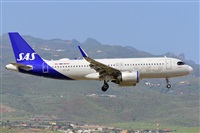 Miguel A. gueda Rguez.  (CANARY ISLANDS SPOTTING). Click to see full size photo