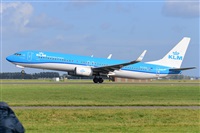Miguel A. gueda Rguez.  (CANARY ISLANDS SPOTTING). Click to see full size photo