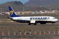 ©Alfonso Solís - Asociación Canary Islands Spotting. Click to see full size photo ©Alfonso Solís - Asociación Canary Islands Spotting. Click to see full size photo