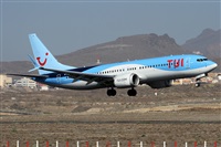 Alfonso Sols - Asociacin Canary Islands Spotting. Click to see full size photo