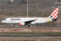 Alfonso Sols - Asociacin Canary Islands Spotting. Haz click para ampliar