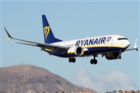 Alfonso Sols - Asociacin Canary Islands Spotting. Haz click para ampliar