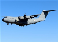 �Daniel Ferro. Click to see full size photo