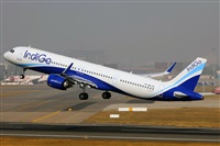 �C�sar Prieto. Click to see full size photo