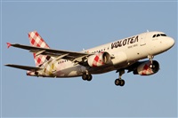 ©Alfonso Solís - Asociación Canary Islands Spotting. Click to see full size photo ©Alfonso Solís - Asociación Canary Islands Spotting. Click to see full size photo