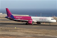 ©Alfonso Solís - Asociación Canary Islands Spotting. Click to see full size photo ©Alfonso Solís - Asociación Canary Islands Spotting. Click to see full size photo