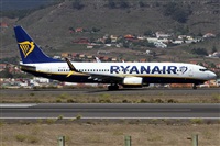 �Alfonso Sol�s - Asociaci�n Canary Islands Spotting. Click to see full size photo