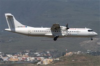 ©Adolfo Bento - Gran Canaria Spotters. Click to see full size photo ©Adolfo Bento - Gran Canaria Spotters. Click to see full size photo