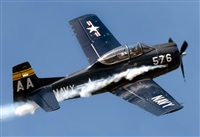 �Rod Dermo. Click to see full size photo