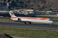 Javier de la Cruz - CANARY ISLANDS SPOTTING. Click to see full size photo