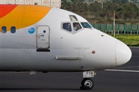 Javier de la Cruz - CANARY ISLANDS SPOTTING. Click to see full size photo
