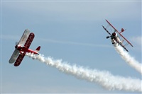 La Roche Spotters. Click to see full size photo