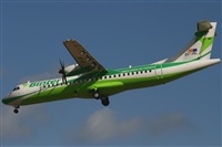 Adrin Alonso Lemes - Lanzarote Spotters. Haz click para ampliar