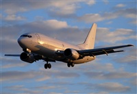 Alejandro H.L - Gran Canaria Spotters. Click to see full size photo