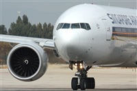 Rodrigo Carvalho - Noisy Spotters. Click to see full size photo