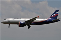 Manuel Noisy Spotters. Click to see full size photo