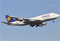 Rubn Gil - Noisy Spotters. Click to see full size photo