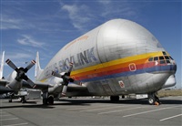 Cele - Spotters BCN. Click to see full size photo