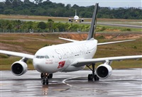 Fabio Duarte - Manaus Spotting Team. Click to see full size photo
