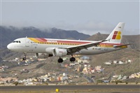 Javier de la Cruz - CANARY ISLANDS SPOTTING. Click to see full size photo