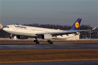 Miguel Alia - Noisy Spotters. Click to see full size photo