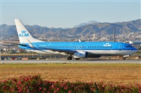 ©Salvador de la Rubia ( Marbella Spotters ). Click to see full size photo ©Salvador de la Rubia ( Marbella Spotters ). Click to see full size photo