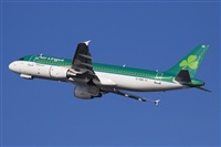 Miguel Alia - Noisy Spotters. Click to see full size photo