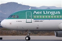 Miguel Alia - Noisy Spotters. Click to see full size photo