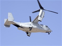 Paco Muoz Arencibia - Gran Canaria Spotters. Click to see full size photo