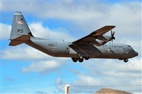 J. Victor Vega-Gran Canaria Spotters. Click to see full size photo