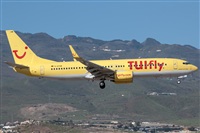 Bartolom Fernndez - Gran Canaria Spotters. Click to see full size photo
