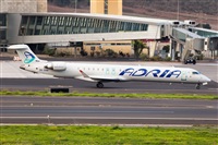 Javier de la Cruz - CANARY ISLANDS SPOTTING. Haz click para ampliar