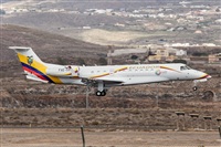 Javier de la Cruz - CANARY ISLANDS SPOTTING. Click to see full size photo