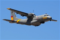 Miguel A. gueda Rguez.  (CANARY ISLANDS SPOTTING). Click to see full size photo