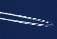 ©Javier González. Click to see full size photo ©Javier González. Click to see full size photo