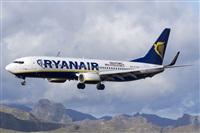 Saimon J Rodriguez   -   Canary Islands Spotting. Click to see full size photo