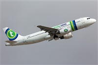 Miguel Alia - Noisy Spotters. Click to see full size photo