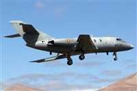 Adrin Alonso Lemes - Lanzarote Spotters. Click to see full size photo